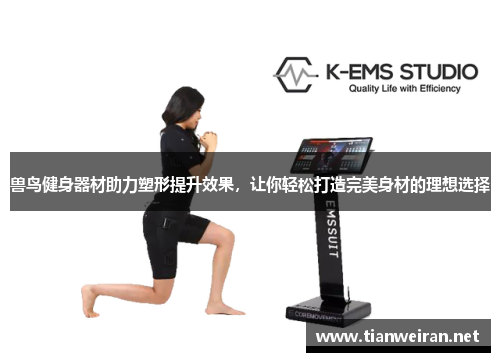兽鸟健身器材助力塑形提升效果，让你轻松打造完美身材的理想选择