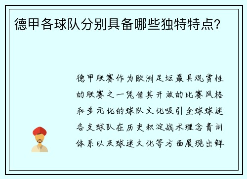 德甲各球队分别具备哪些独特特点？