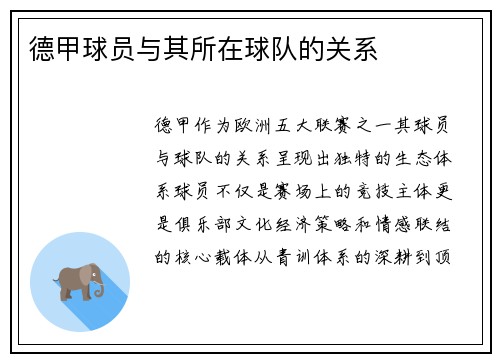 德甲球员与其所在球队的关系