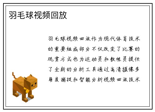 羽毛球视频回放