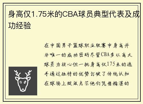 身高仅1.75米的CBA球员典型代表及成功经验